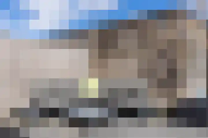 Rugstreeppad 12 Uithoorn thumbnail 45