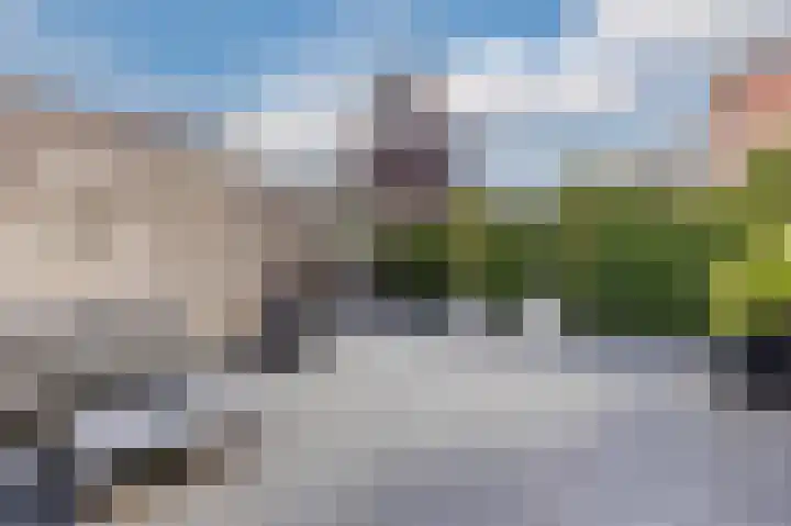 Rugstreeppad 12 Uithoorn thumbnail 46
