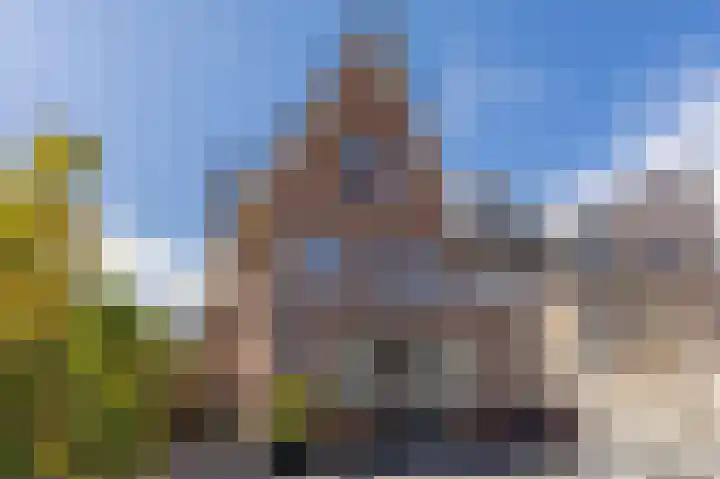Rugstreeppad 12 Uithoorn thumbnail 47