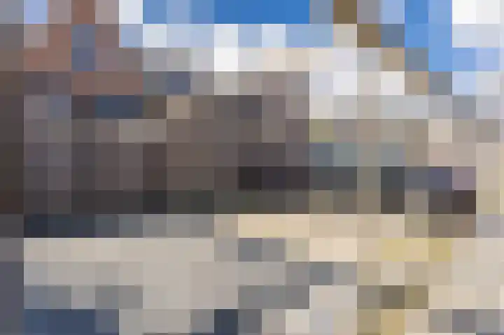 Rugstreeppad 12 Uithoorn thumbnail 48