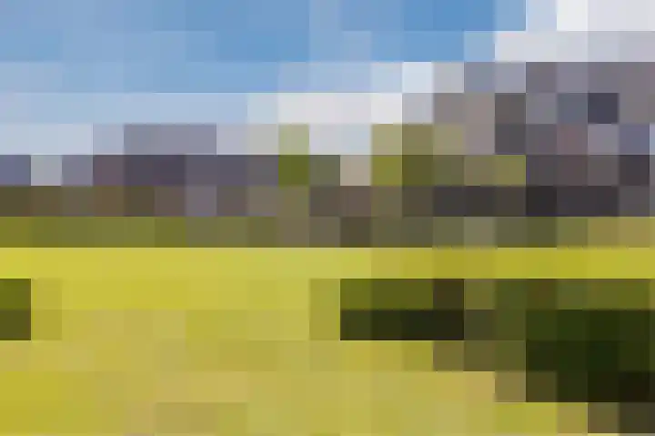 Rugstreeppad 12 Uithoorn thumbnail 49