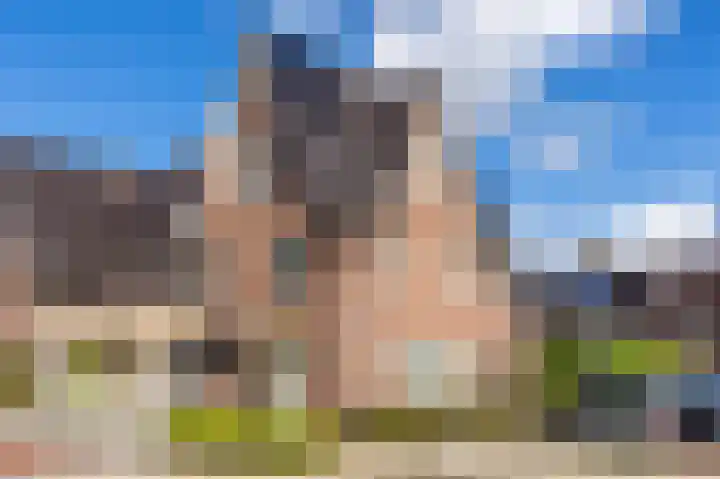Rugstreeppad 12 Uithoorn thumbnail 5