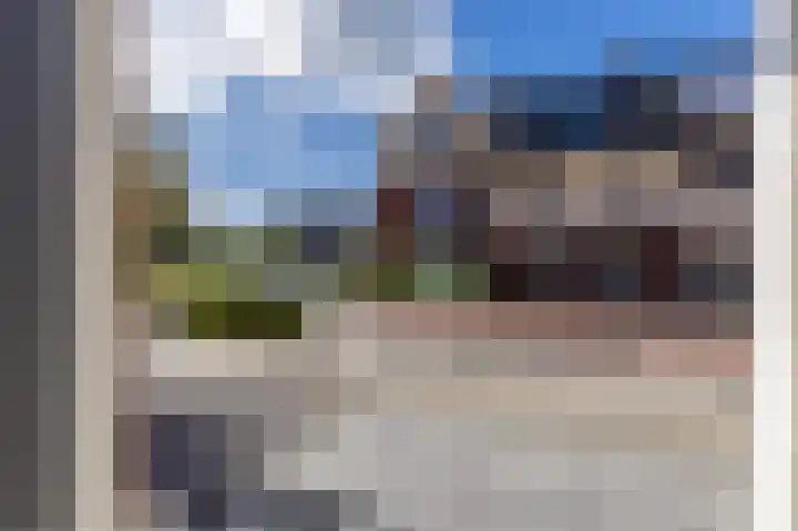 Rugstreeppad 12 Uithoorn thumbnail 6