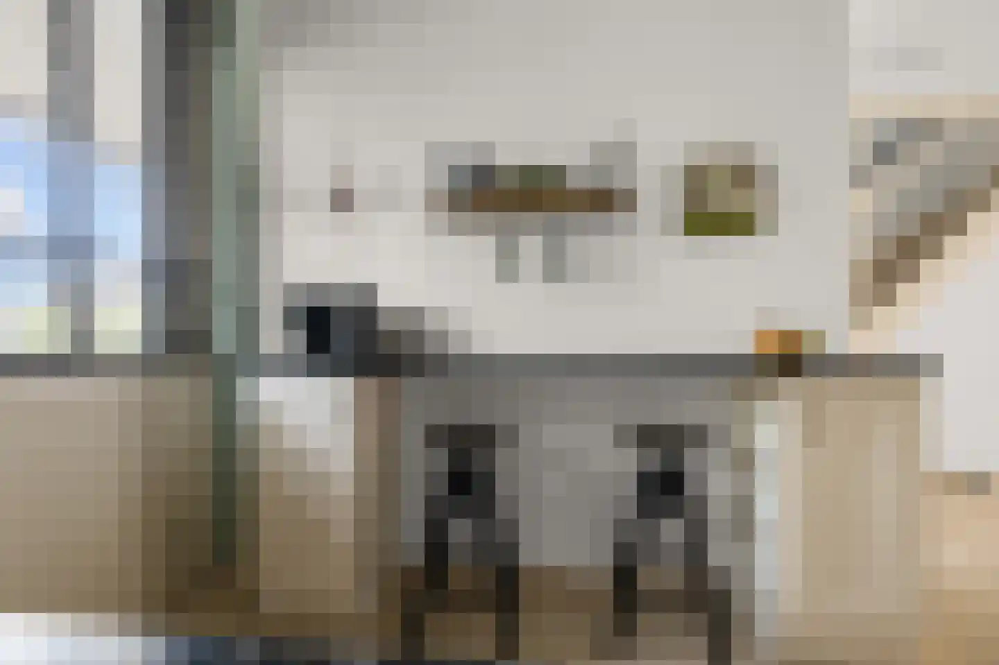 Rugstreeppad 22 Nieuwveen thumbnail 12