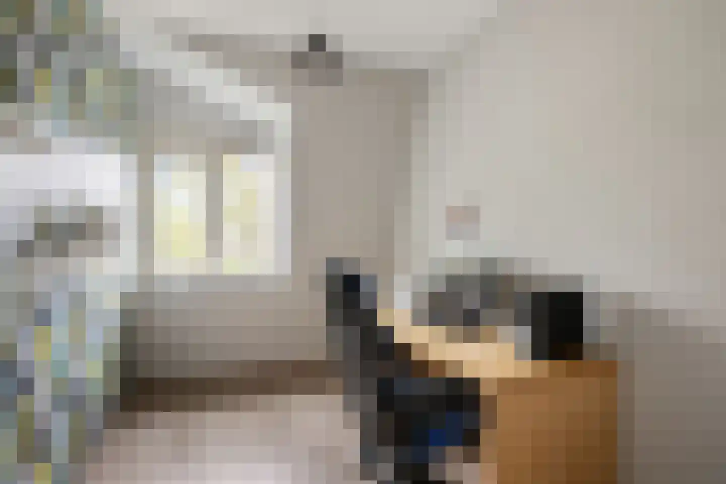 Rugstreeppad 22 Nieuwveen thumbnail 18