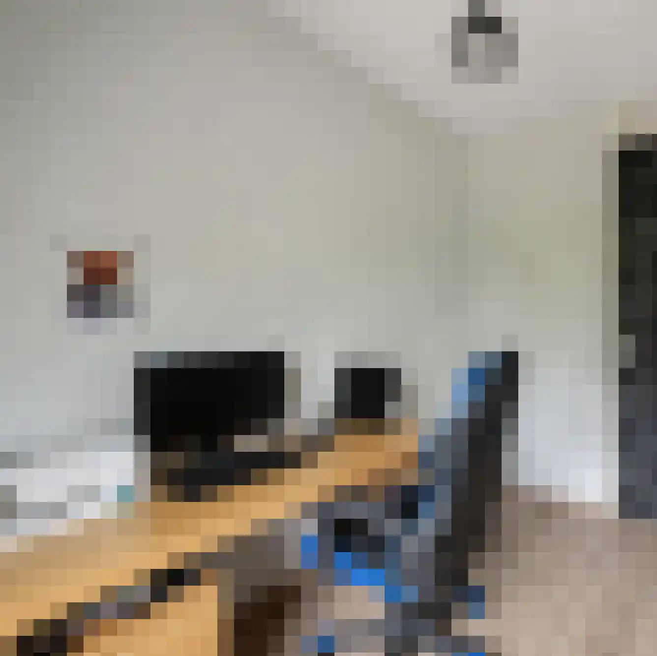 Rugstreeppad 22 Nieuwveen thumbnail 19