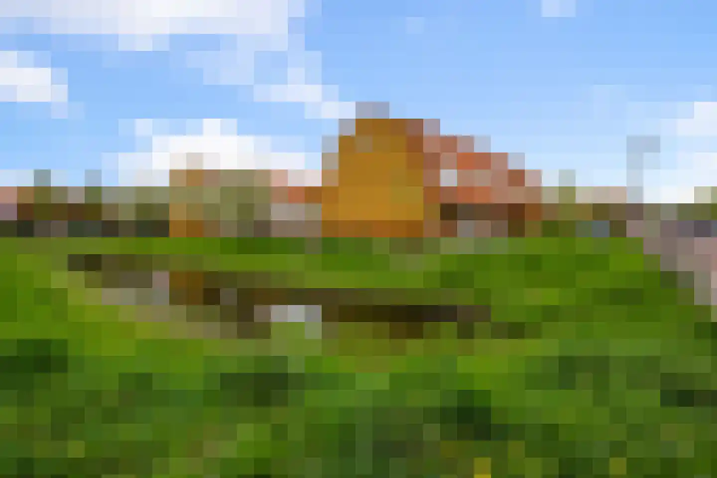 Rugstreeppad 22 Nieuwveen thumbnail 23