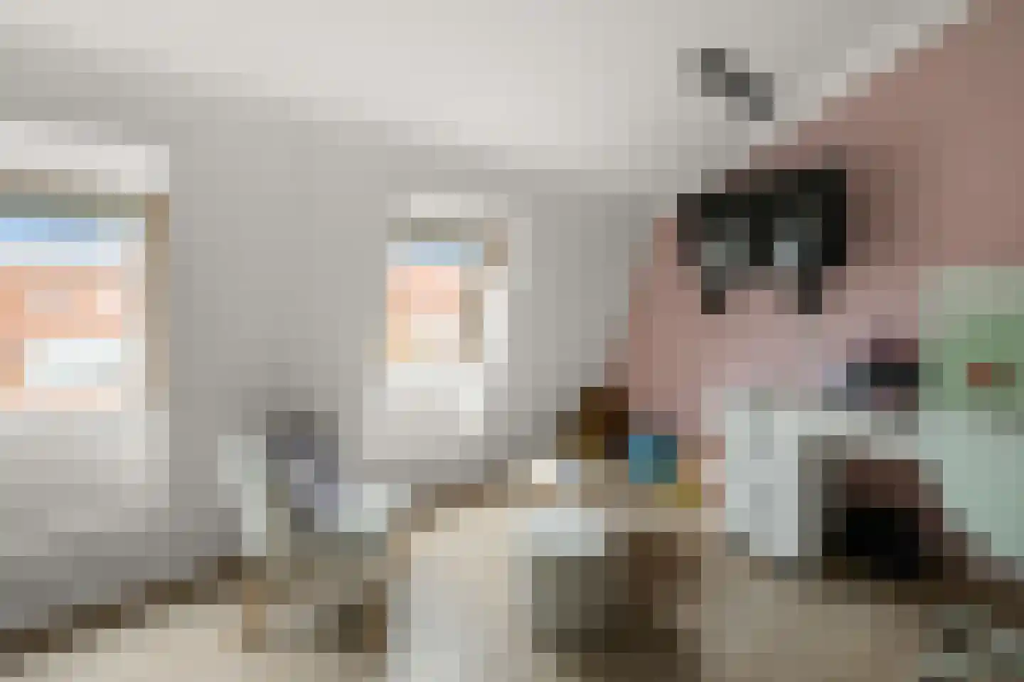 Rugstreeppad 22 Nieuwveen thumbnail 33