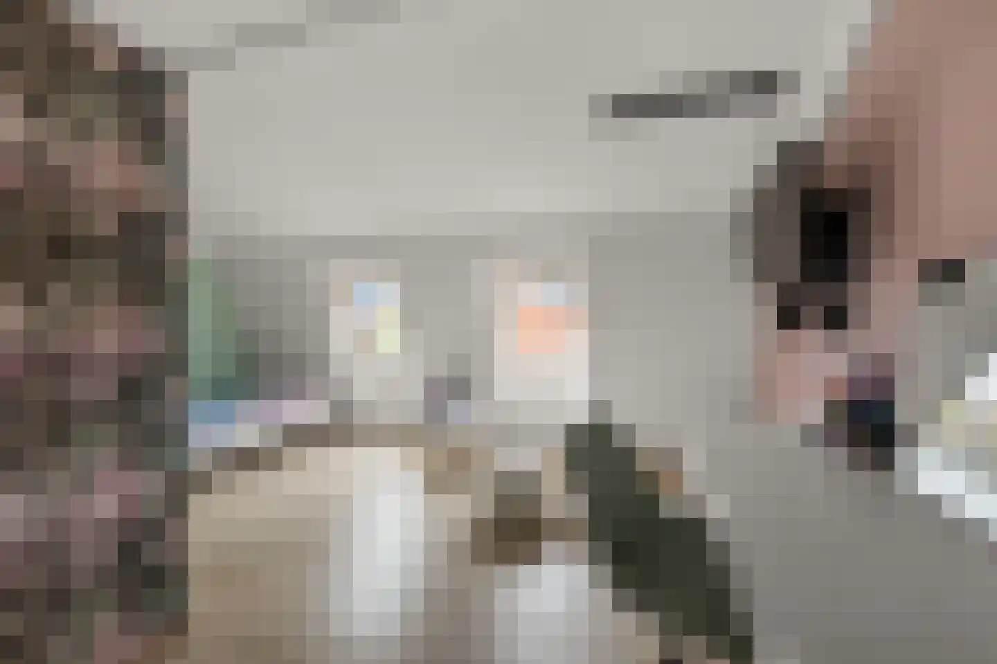 Rugstreeppad 22 Nieuwveen thumbnail 34