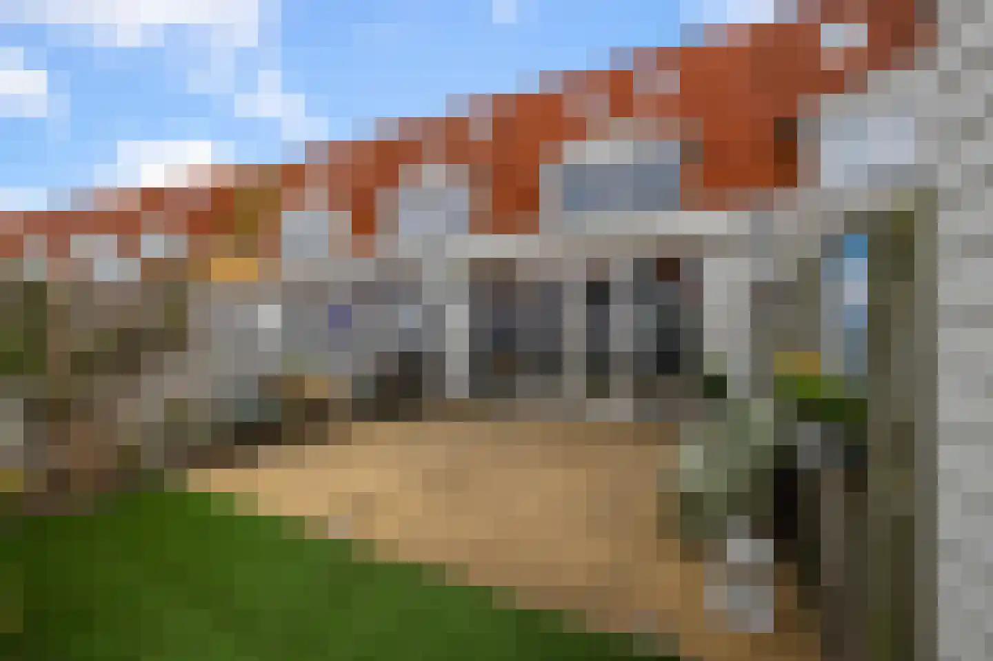 Rugstreeppad 22 Nieuwveen thumbnail 35