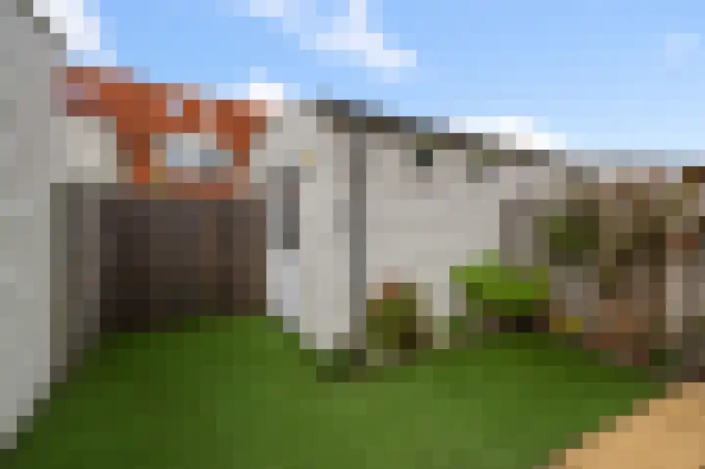 Rugstreeppad 22 Nieuwveen thumbnail 36