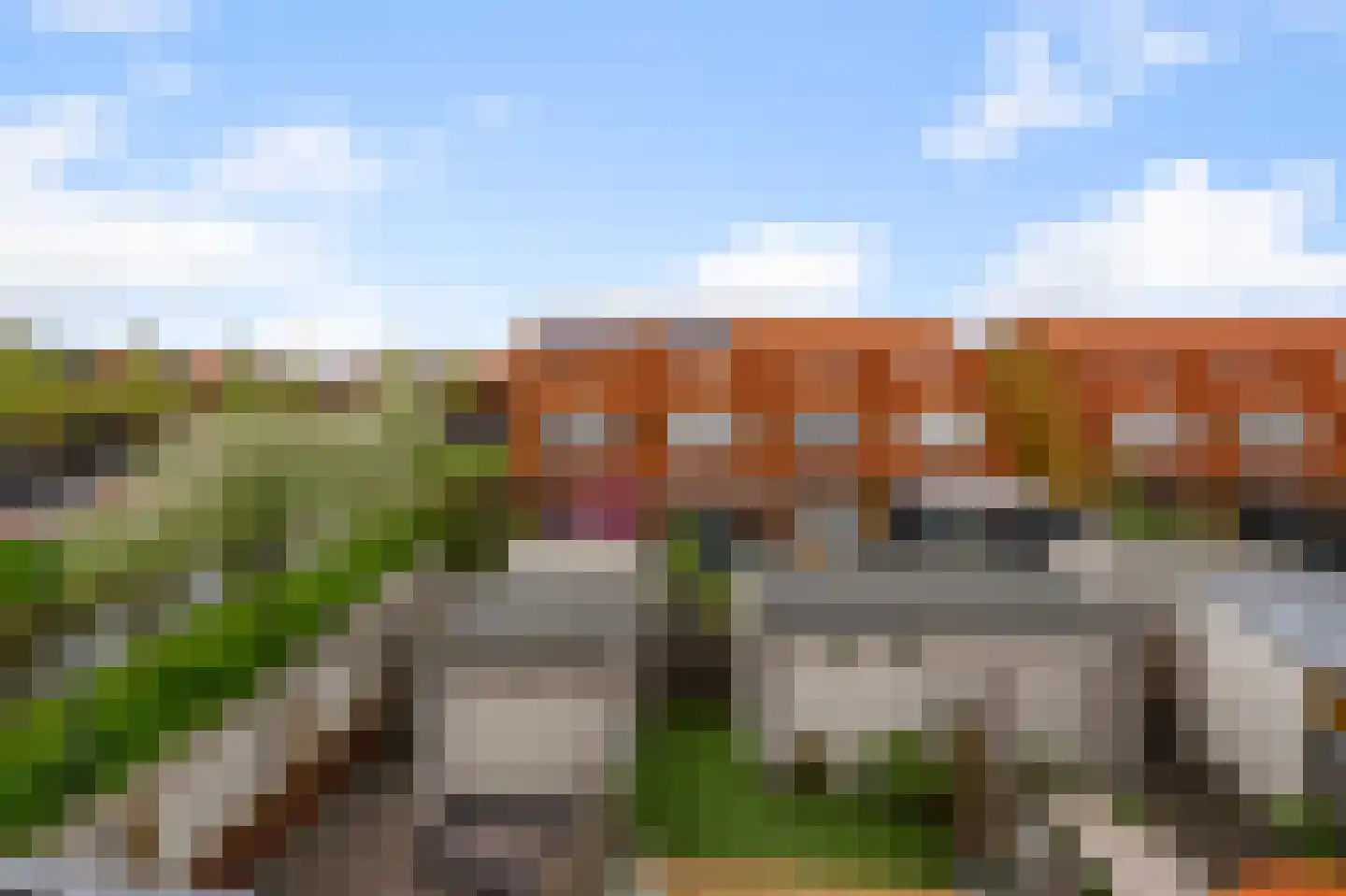 Rugstreeppad 22 Nieuwveen thumbnail 38