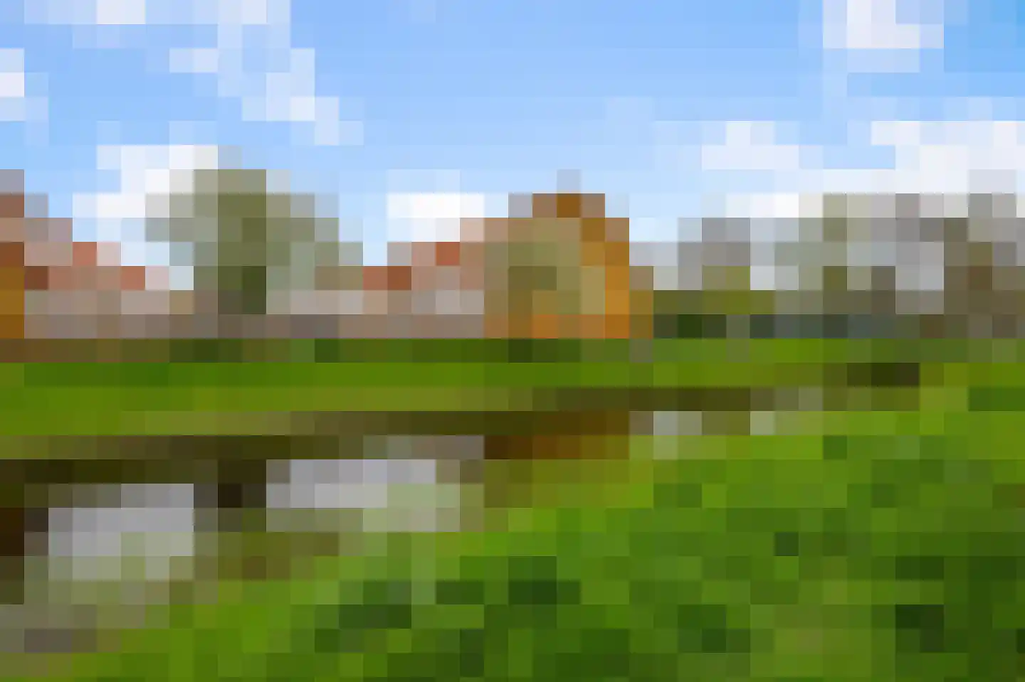 Rugstreeppad 22 Nieuwveen thumbnail 39