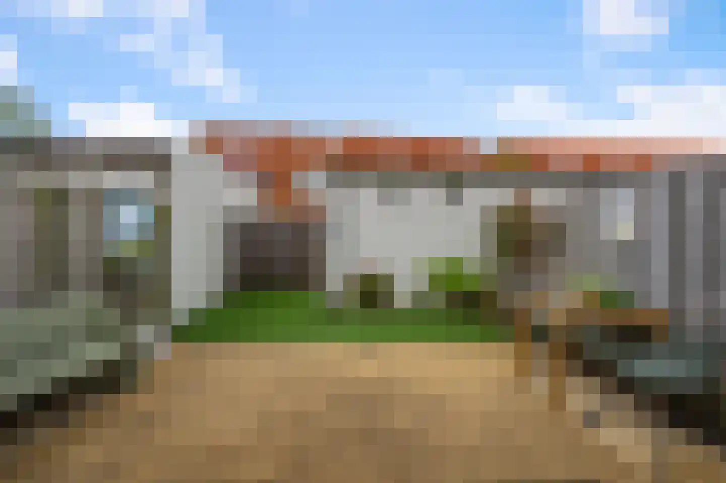 Rugstreeppad 22 Nieuwveen thumbnail 4