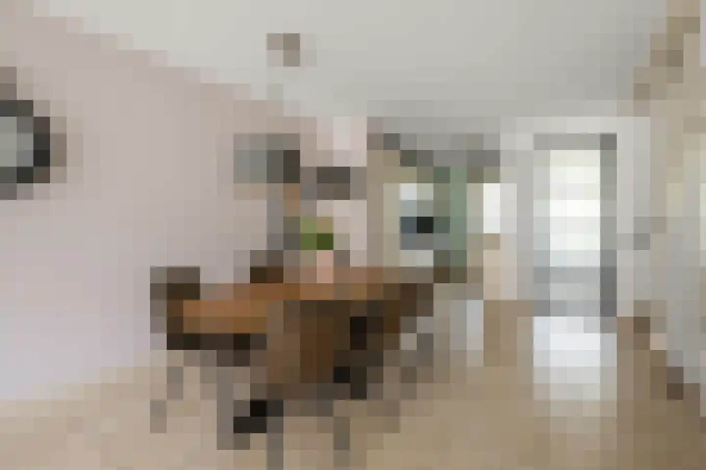 Rugstreeppad 22 Nieuwveen thumbnail 5