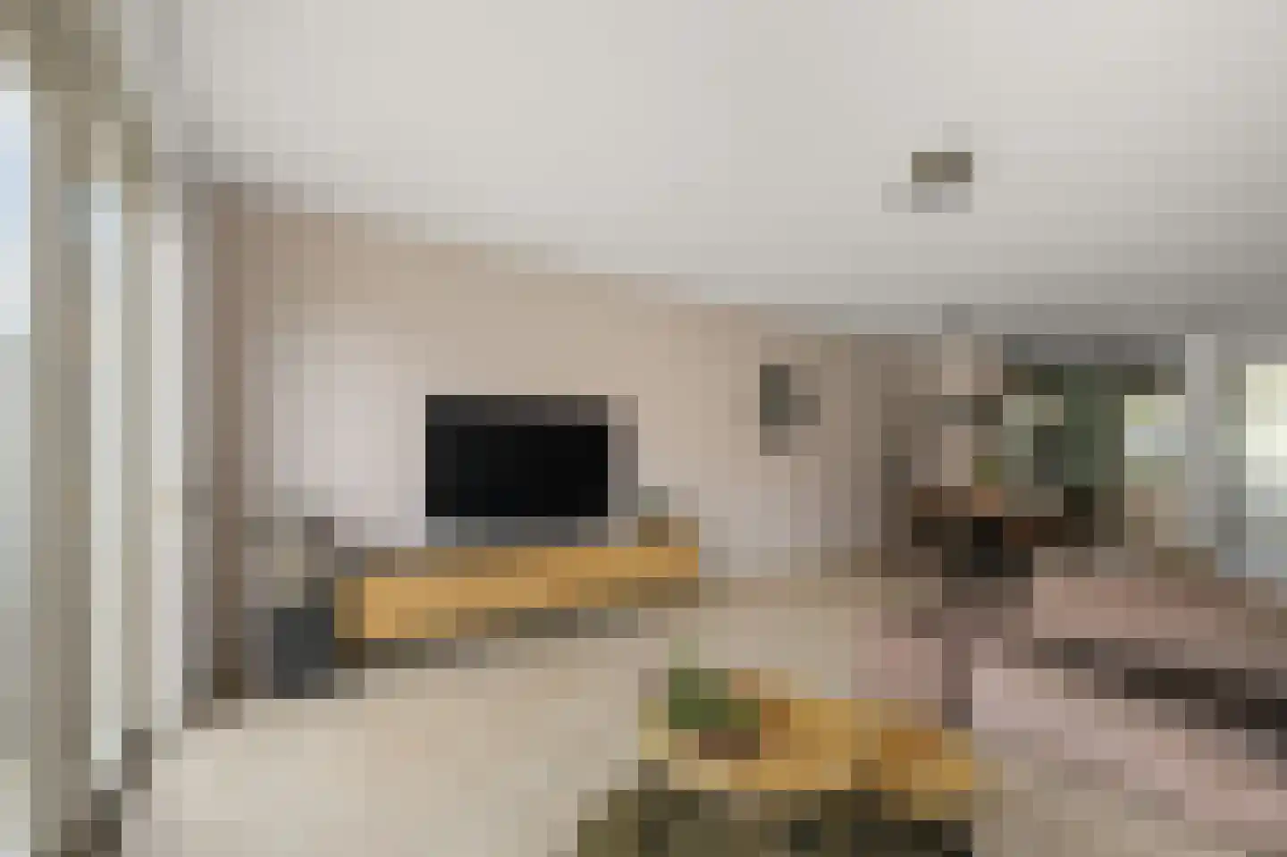 Rugstreeppad 22 Nieuwveen thumbnail 6