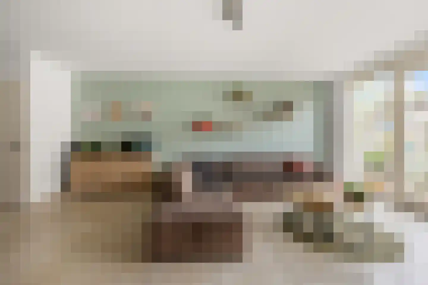 Rugstreeppad 22 Nieuwveen thumbnail 8