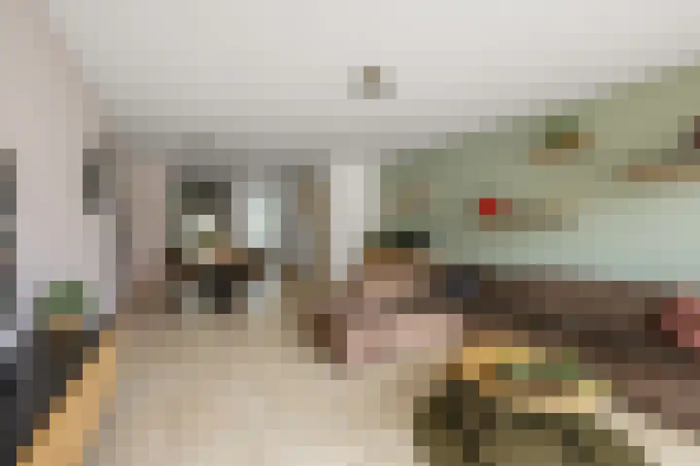 Rugstreeppad 22 Nieuwveen thumbnail 9