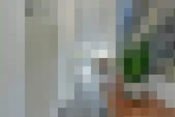 Rugstreeppad 73 Nieuwveen thumbnail 12