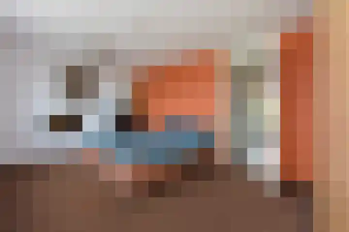 Rugstreeppad 73 Nieuwveen thumbnail 16