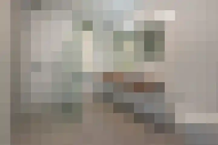 Rugstreeppad 73 Nieuwveen thumbnail 17