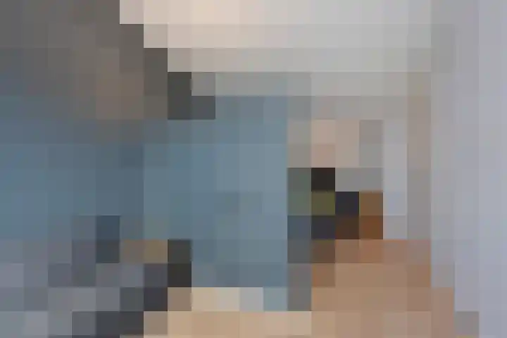 Rugstreeppad 73 Nieuwveen thumbnail 27