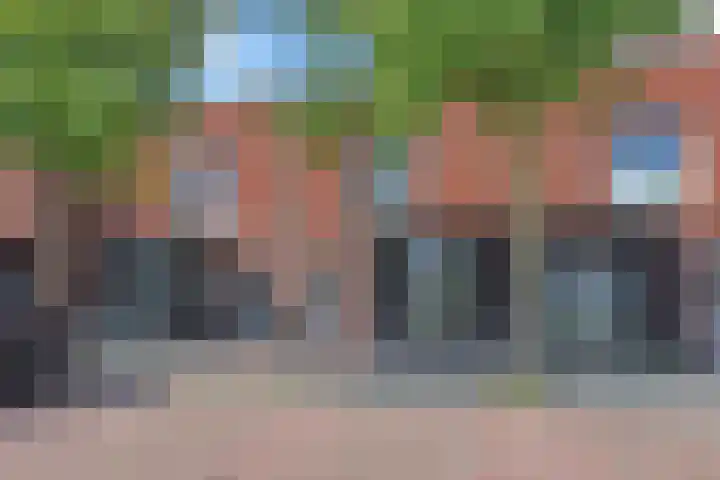 Rugstreeppad 73 Nieuwveen thumbnail 29