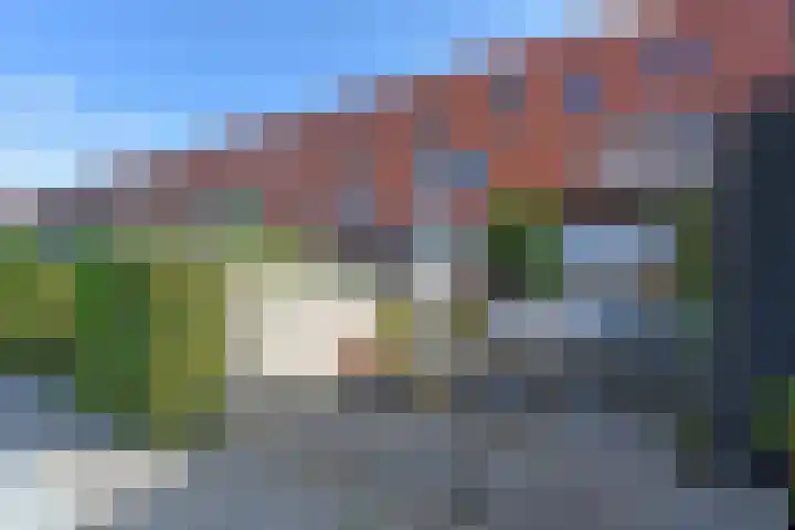 Rugstreeppad 73 Nieuwveen thumbnail 30