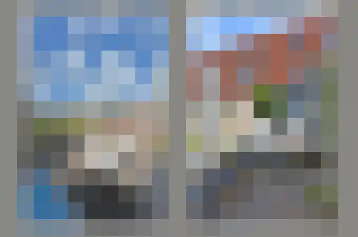 Rugstreeppad 73 Nieuwveen thumbnail 31