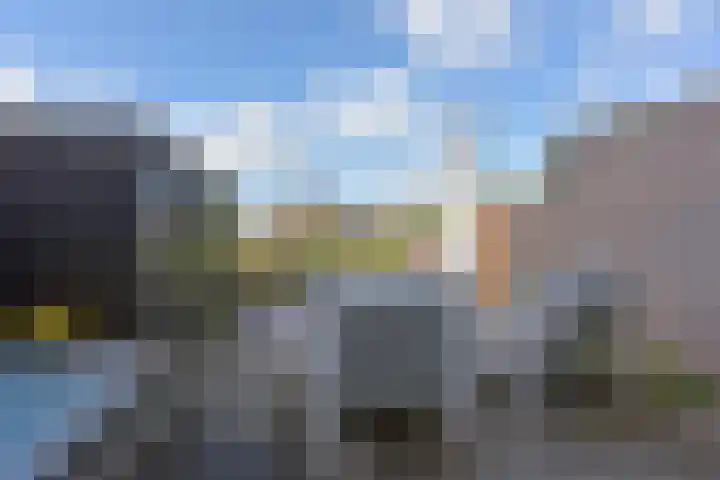 Rugstreeppad 73 Nieuwveen thumbnail 32