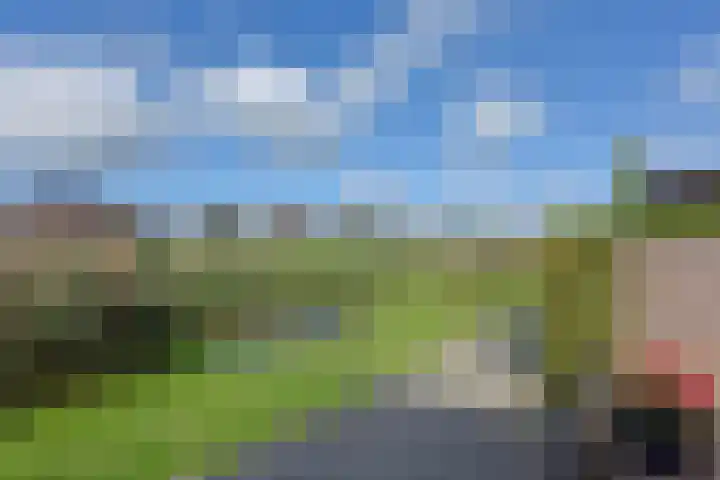 Rugstreeppad 73 Nieuwveen thumbnail 33