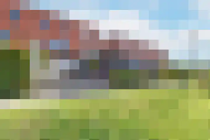 Rugstreeppad 73 Nieuwveen thumbnail 34