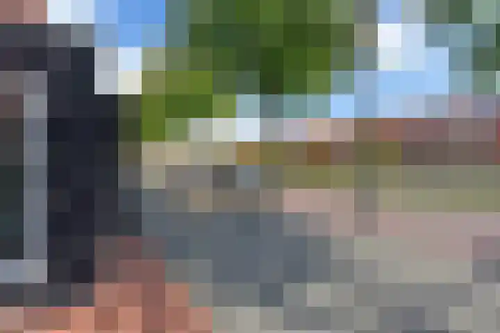 Rugstreeppad 73 Nieuwveen thumbnail 35