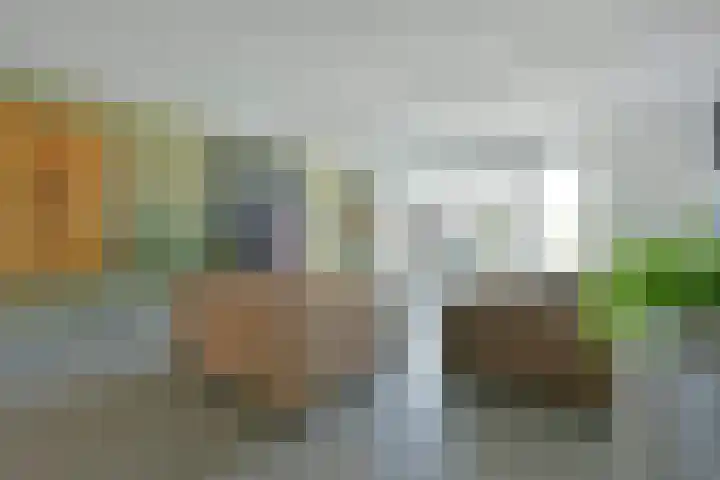 Rugstreeppad 73 Nieuwveen thumbnail 4