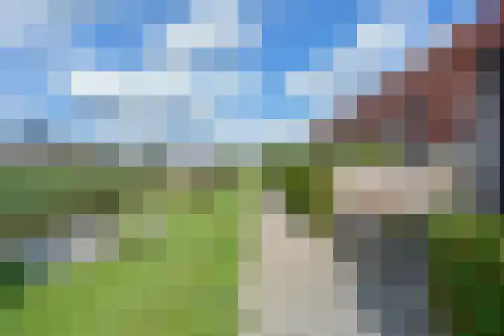 Rugstreeppad 73 Nieuwveen thumbnail 40