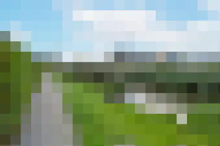 Rugstreeppad 73 Nieuwveen thumbnail 41