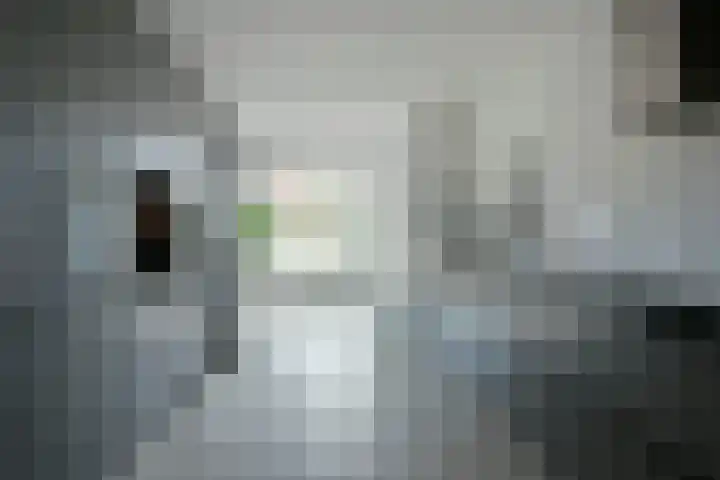 Rugstreeppad 73 Nieuwveen thumbnail 5