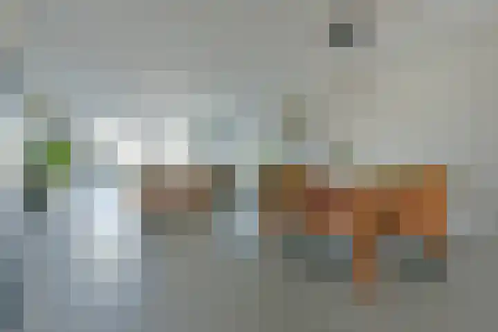 Rugstreeppad 73 Nieuwveen thumbnail 8