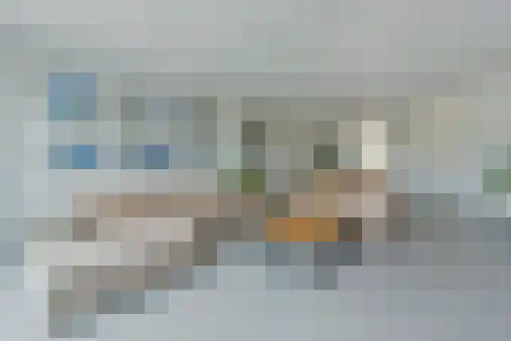 Rugstreeppad 73 Nieuwveen thumbnail 9