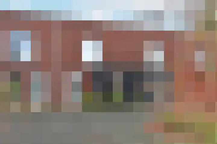 Rugstreeppad 81 Nieuwveen