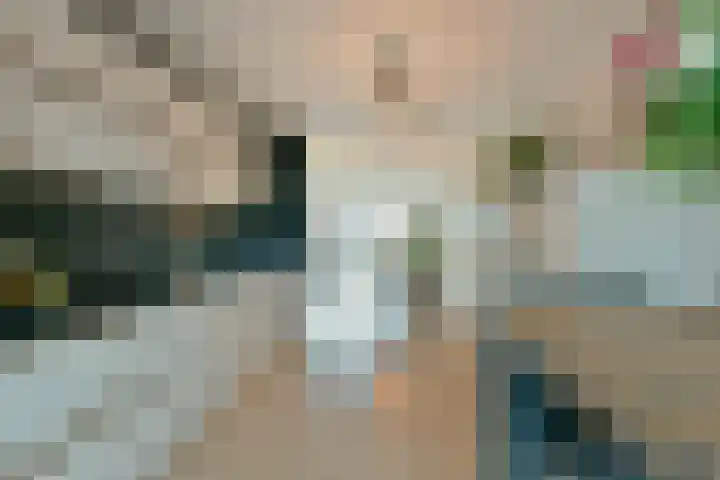 Rugstreeppad 81 Nieuwveen thumbnail 10