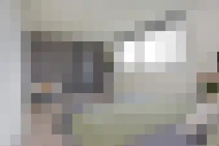 Rugstreeppad 81 Nieuwveen thumbnail 17