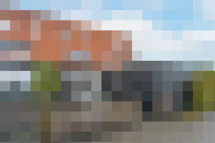Rugstreeppad 81 Nieuwveen thumbnail 29