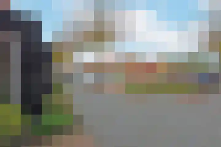Rugstreeppad 81 Nieuwveen thumbnail 32