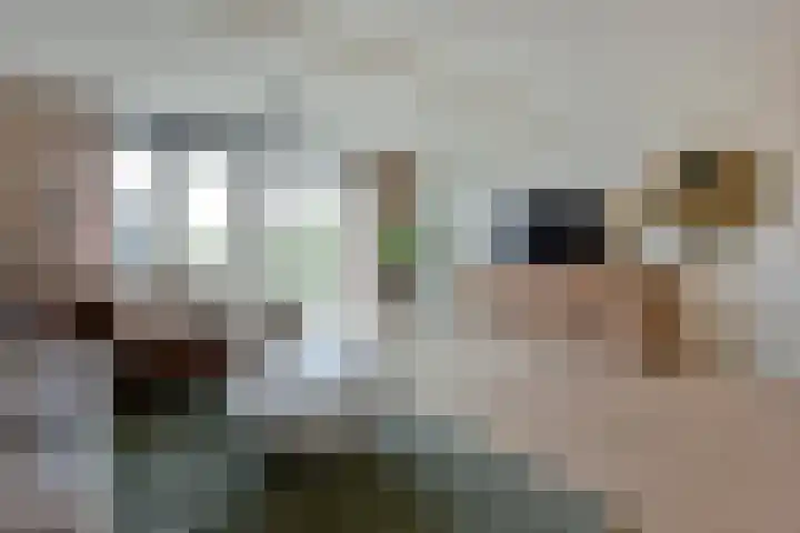 Rugstreeppad 81 Nieuwveen thumbnail 4
