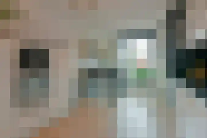 Rugstreeppad 81 Nieuwveen thumbnail 7