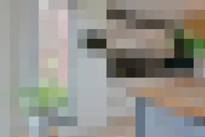 Rugstreeppad 81 Nieuwveen thumbnail 9
