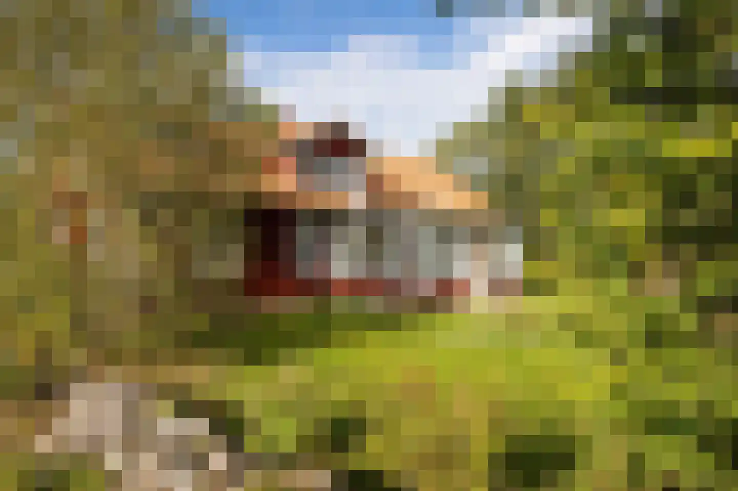Ruhenbergerweg 27 Overdinkel thumbnail 15