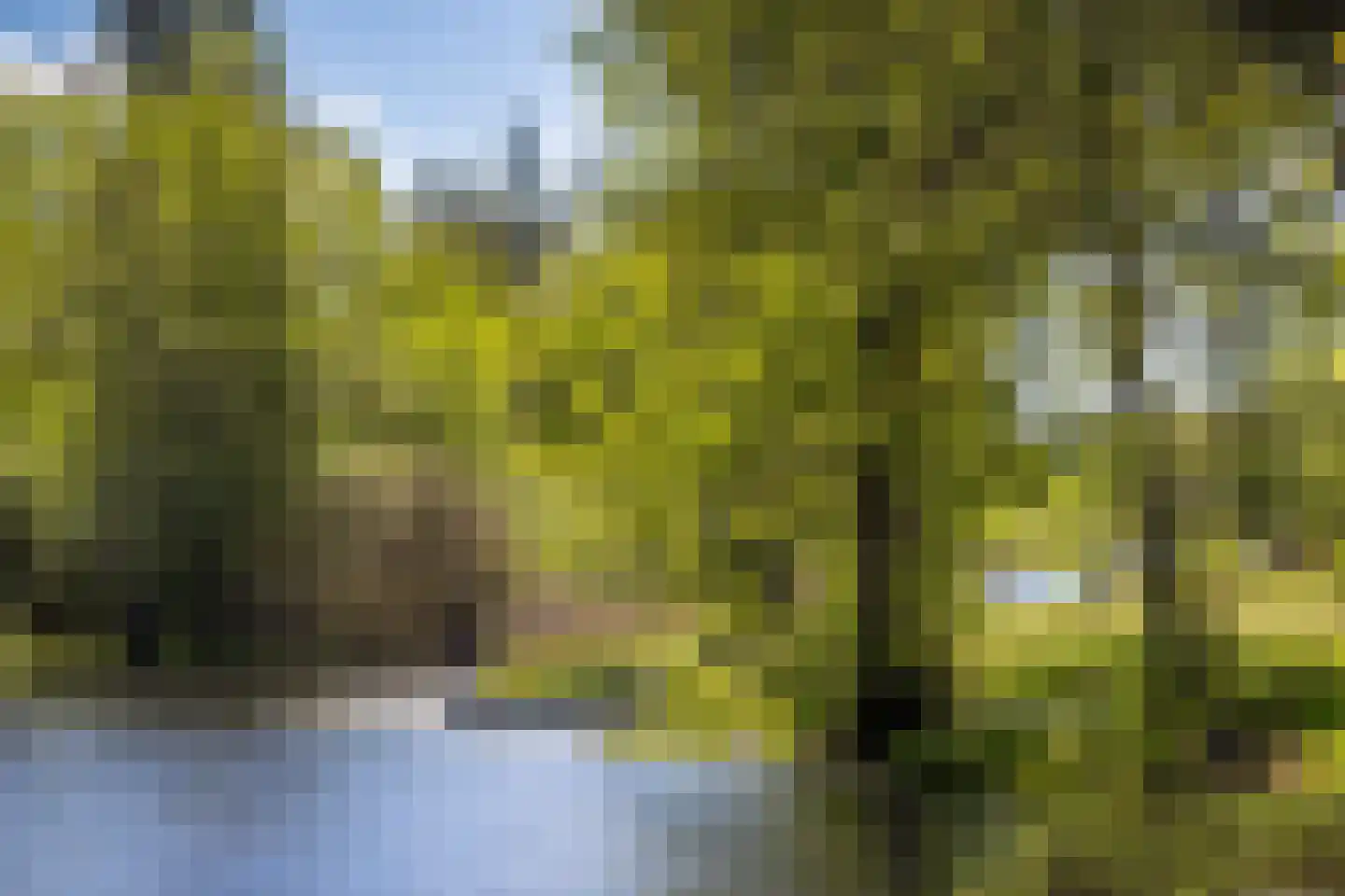 Ruhenbergerweg 27 Overdinkel thumbnail 7