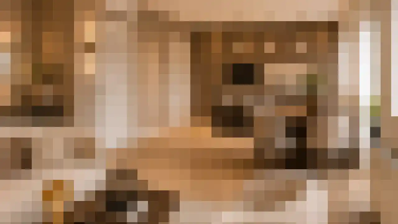 Ruige Velddreef 141 Leusden thumbnail 6